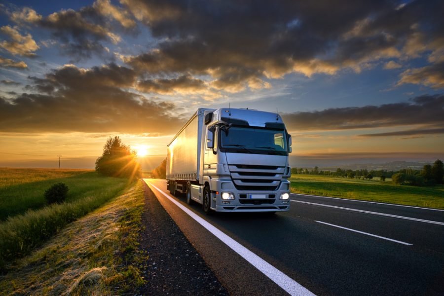 Truck License Fraud