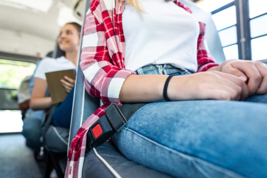 School Bus Seat Belt