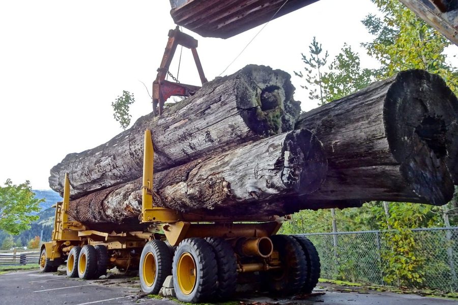 truck lumber cargo